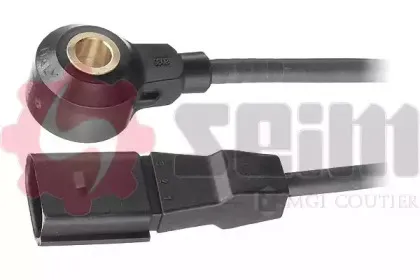 seim-cc21