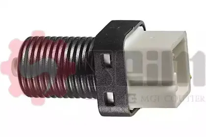 seim-cs198
