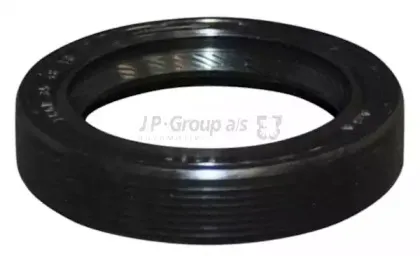 1119500300 JP GROUP