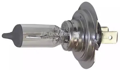 1195902500 JP GROUP Лампа накаливания, основная фара