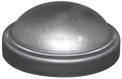 1552000100 JP GROUP Предохранительная крышка, ступица колеса