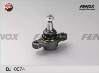 BJ10074 FENOX