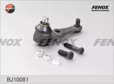 BJ10081 FENOX