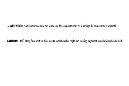 104190 RECORD FRANCE Амортизатор