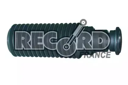 recordfrance-923211