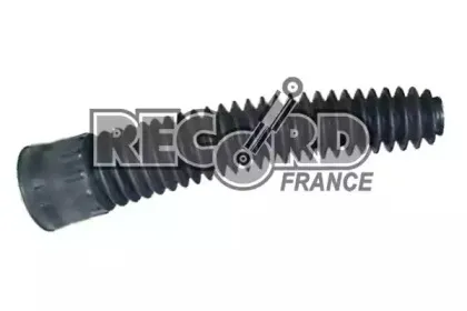 recordfrance-925291
