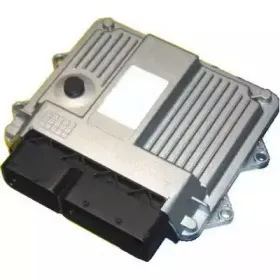 sidat-243129