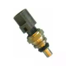 sidat-82535