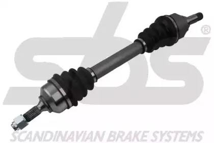 sbs-1701503771