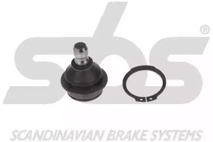 sbs-19075045008