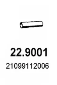 asso-229001