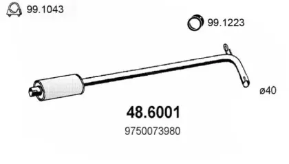 asso-486001