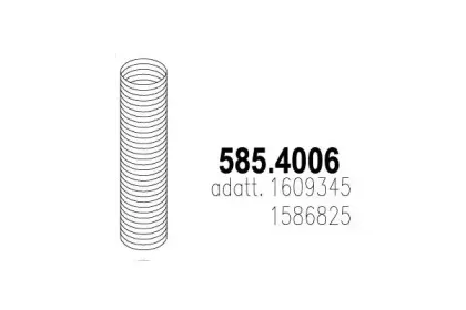 asso-5854006