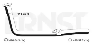 ernst-111423