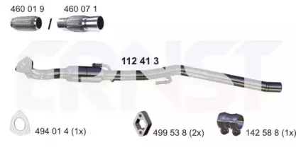 ernst-112413