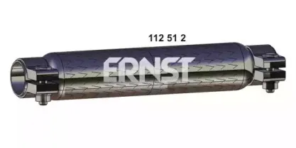 ernst-112512