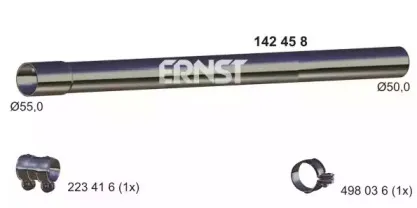 ernst-142458