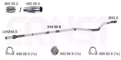 ernst-314558