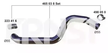 ernst-465038