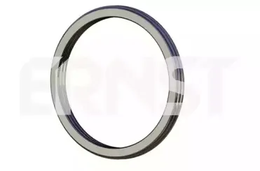 ernst-491389