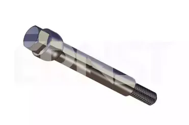 ernst-492003