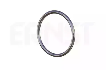 ernst-493130