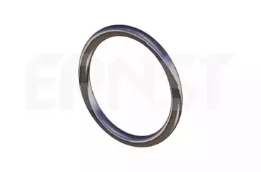ernst-493178