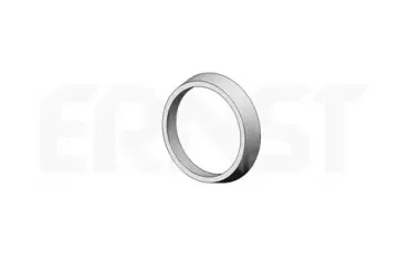 ernst-493956
