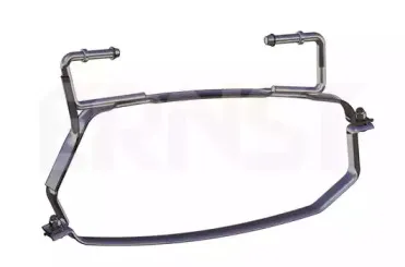 ernst-494229