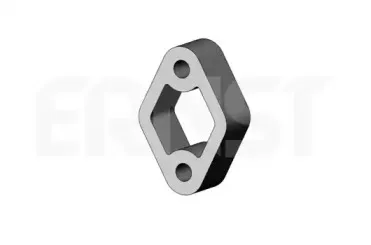 ernst-495684