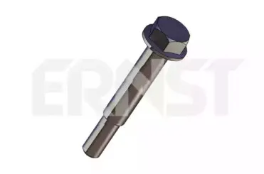 ernst-495936