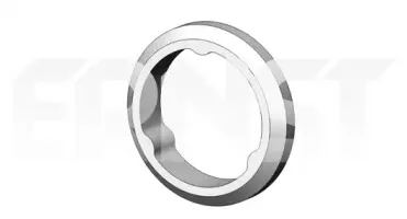 ernst-496605