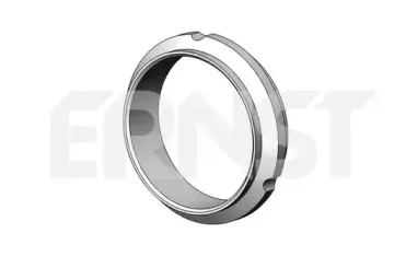 ernst-497473