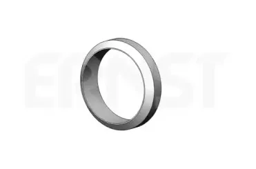 ernst-498166