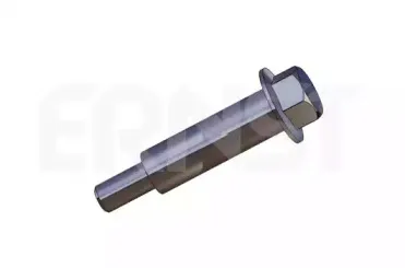 ernst-498289