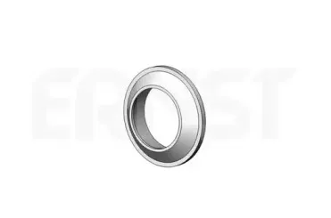 ernst-498685