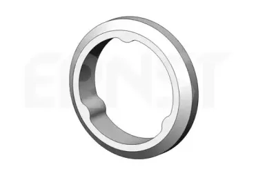 ernst-498692
