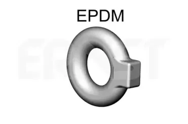 ernst-498821
