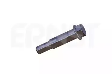 ernst-499200