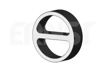 ernst-499668