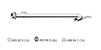 ernst-515429