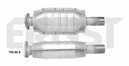 ernst-750608