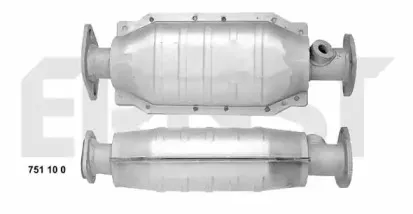 ernst-751100