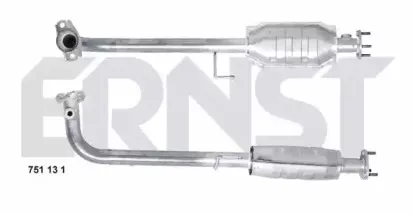 ernst-751131