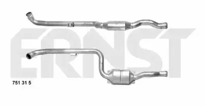 ernst-751315