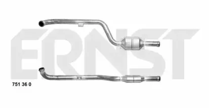 ernst-751360