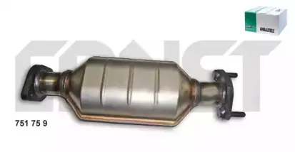 ernst-751759