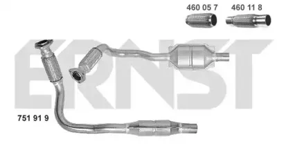 ernst-751919