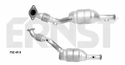 ernst-752459