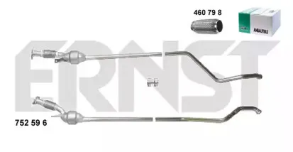 ernst-752596